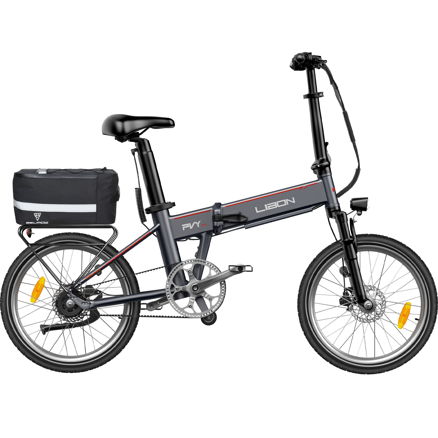 PVY LIBON(副kopiera)