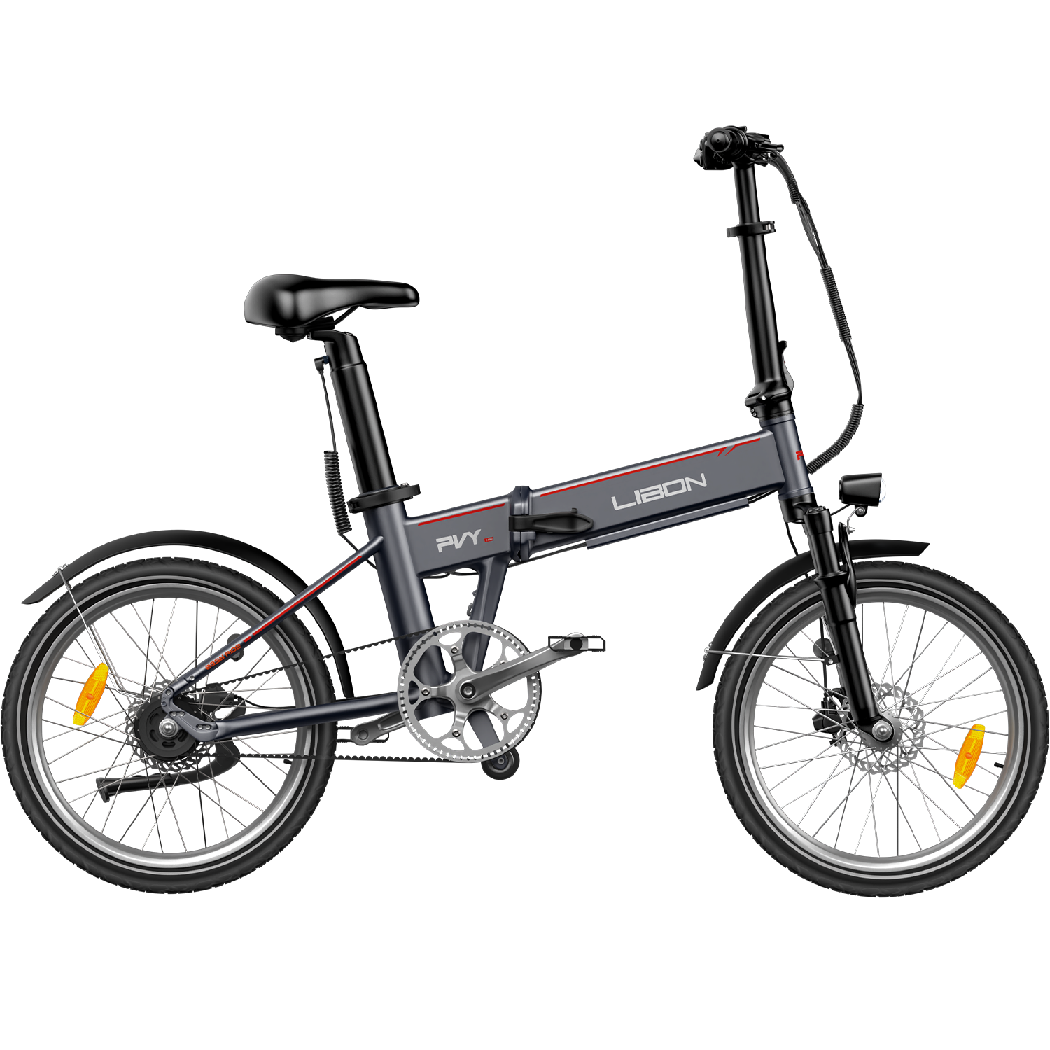 PVY LIBON(副kopiera)